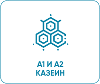 A1 И A2 КАЗЕИН